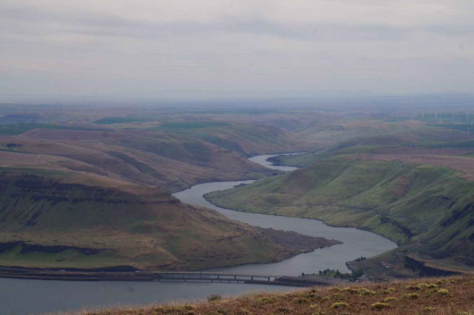 ‘For whom are we going green?’ Yakama protests clean energy project in sacred land to power data center – Oregon Capital Chronicle