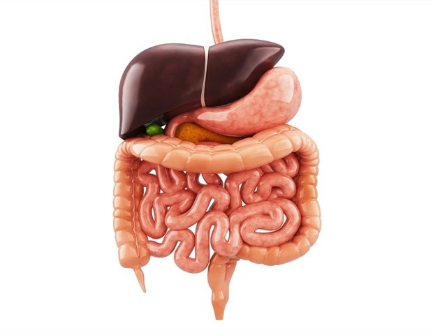 RNA modifications shape intestinal immunity and intestinal macrophage function RNA modifications shape intestinal immunity and intestinal macrophage function