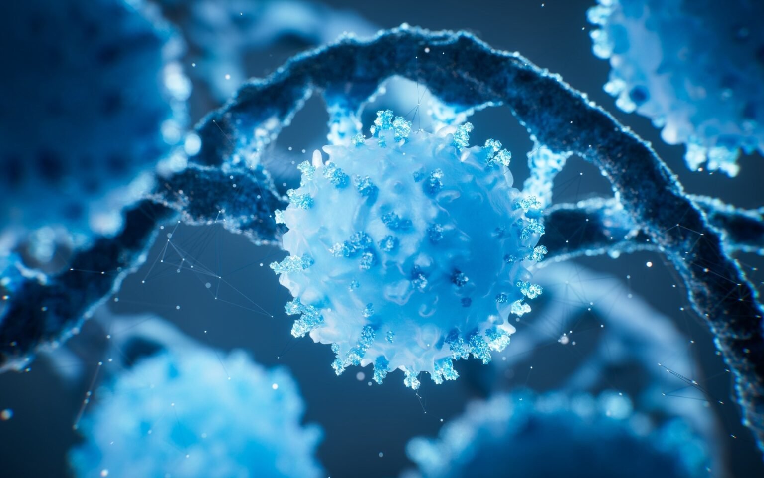 Meal timing may influence T cell responses to infections and treatments