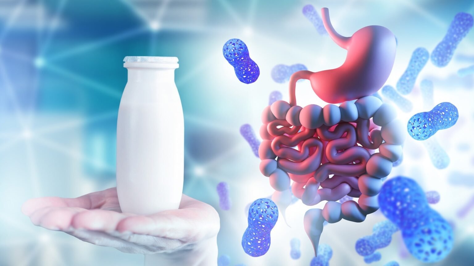 How common gut bacteria protect your health