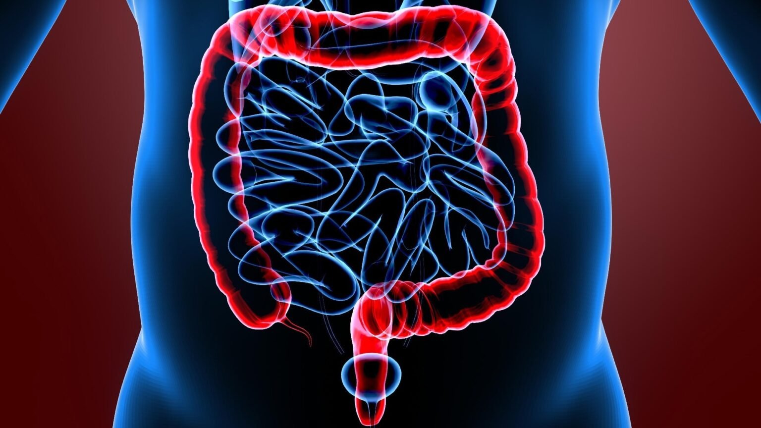 Improving the success rate of fecal microbiota transplants using AI