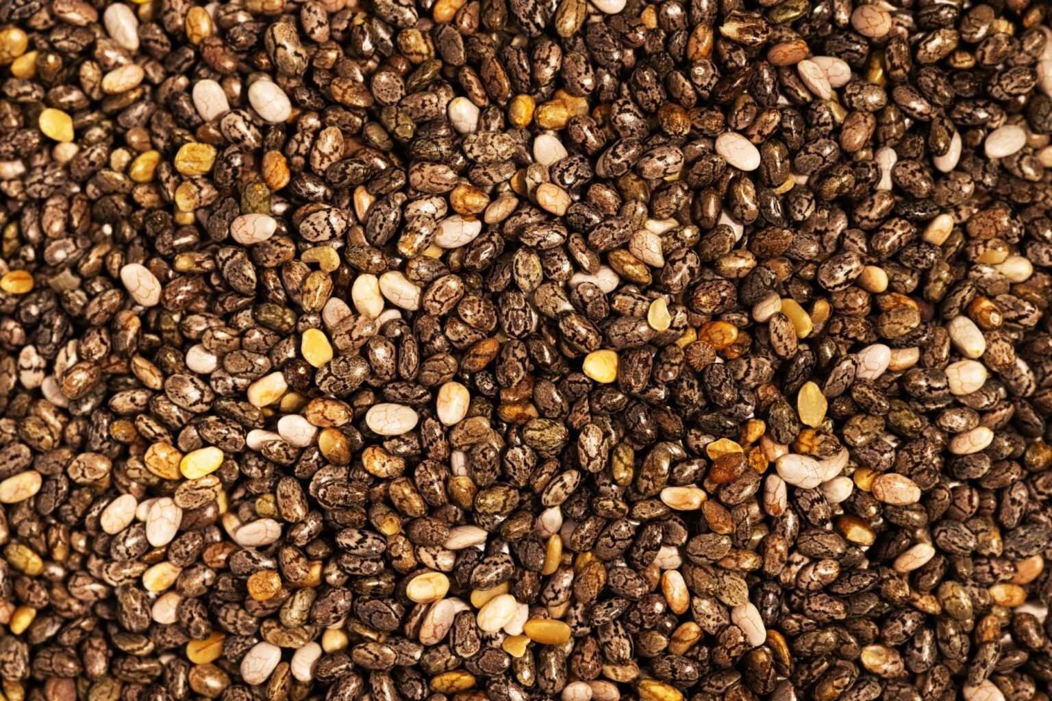 Chia seeds may increase DHA in fetal brain during obesity-related pregnancy Chia seeds may increase DHA in fetal brain during obesity-related pregnancy