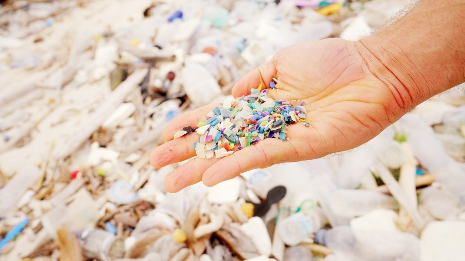 Increase in marine microplastics may signal increased burden of stroke and chronic diseases in coastal areas Increase in marine microplastics may signal increased burden of stroke and chronic diseases in coastal areas