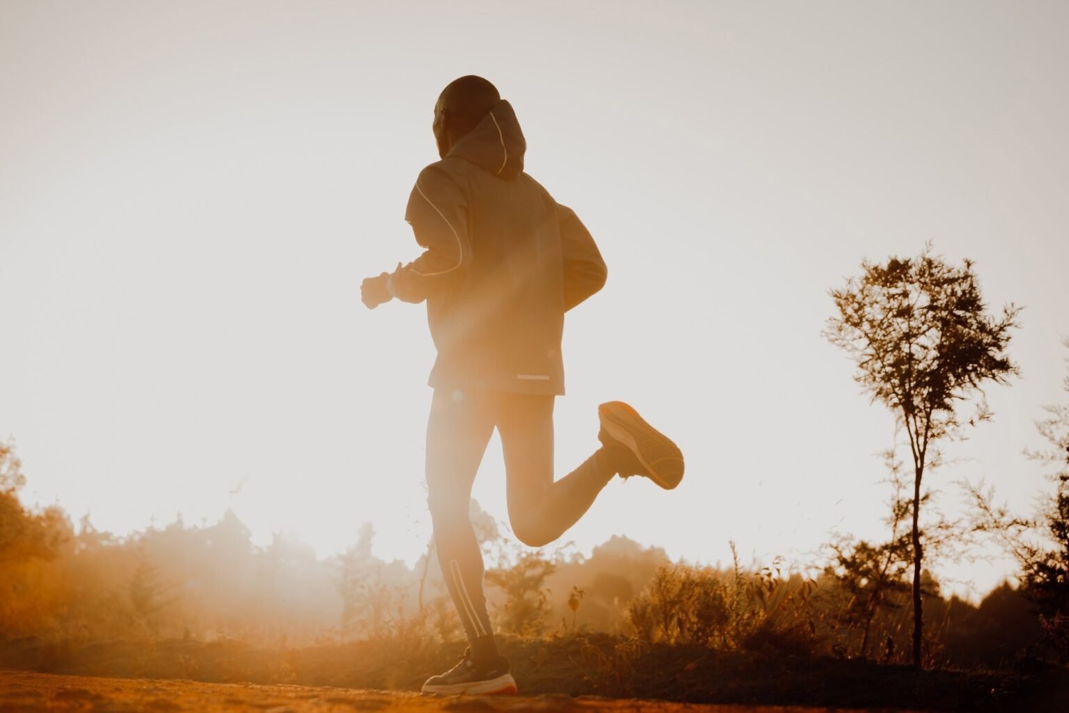 Why Kenya, Ethiopia, Japan and the United States stand out in global distance running
