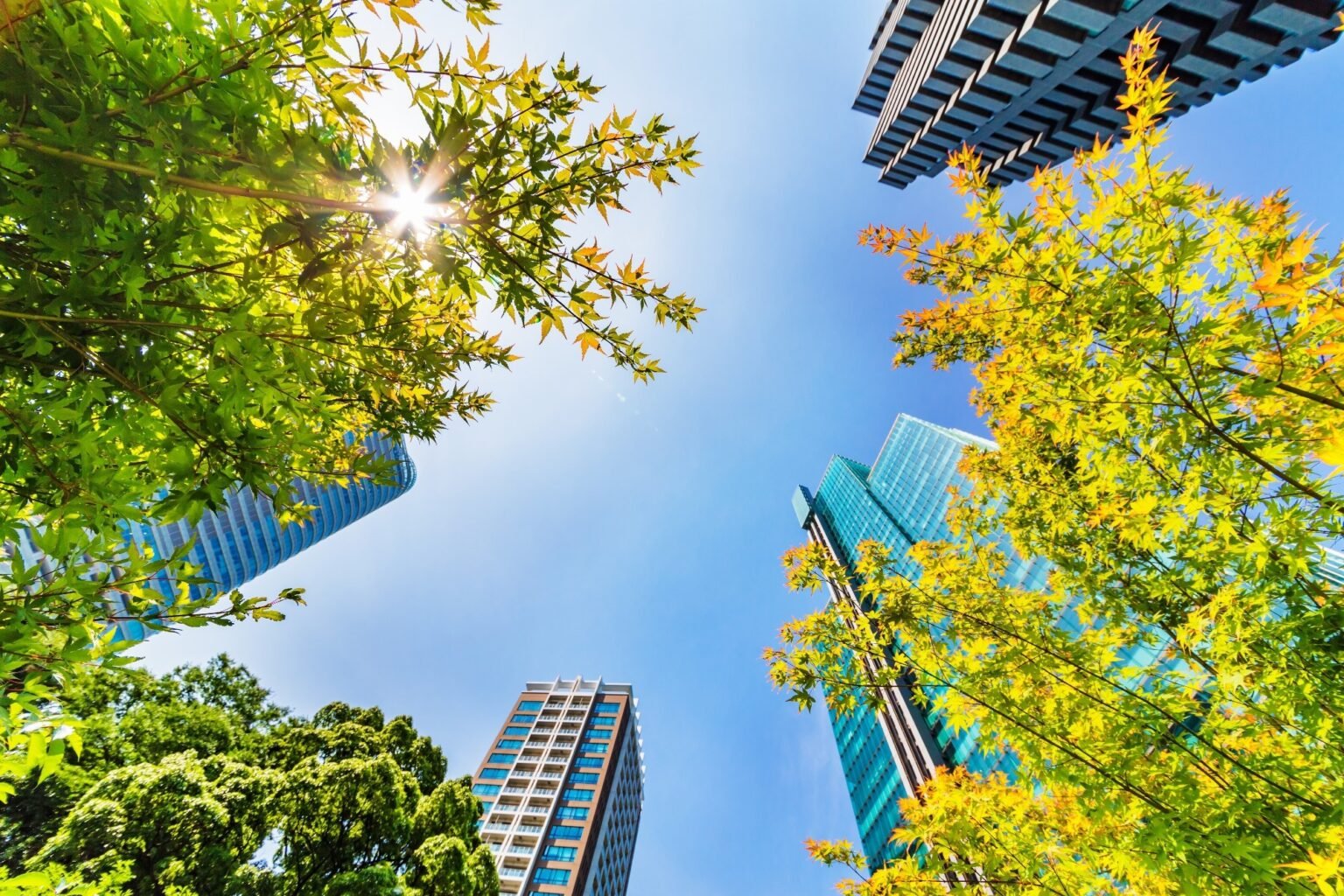 How heat smart cities can protect outdoor recreation in a warming world