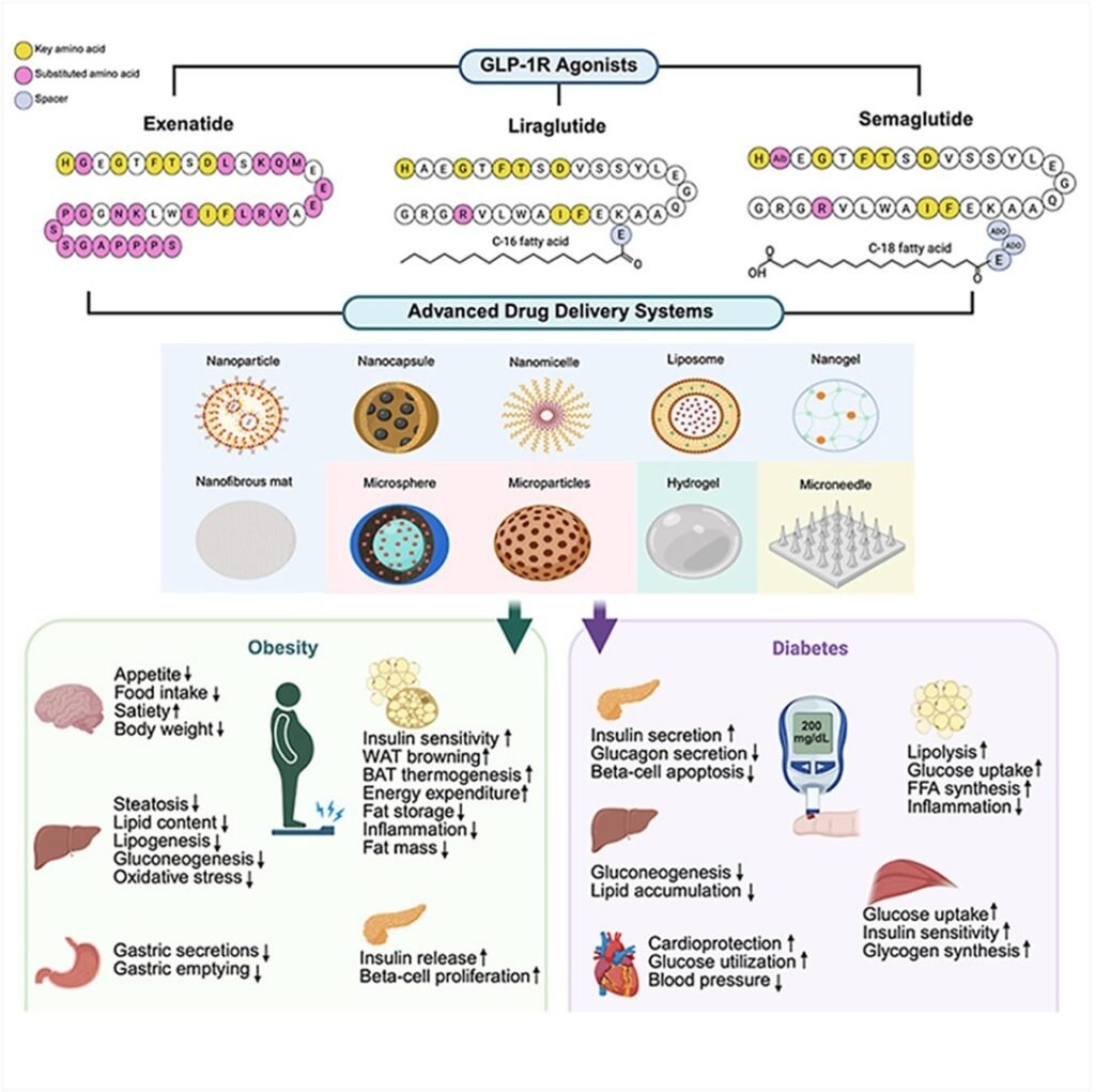 Scientists rethink GLP-1 delivery to improve dosing, tolerability, and compliance Scientists rethink GLP-1 delivery to improve dosing, tolerability, and compliance