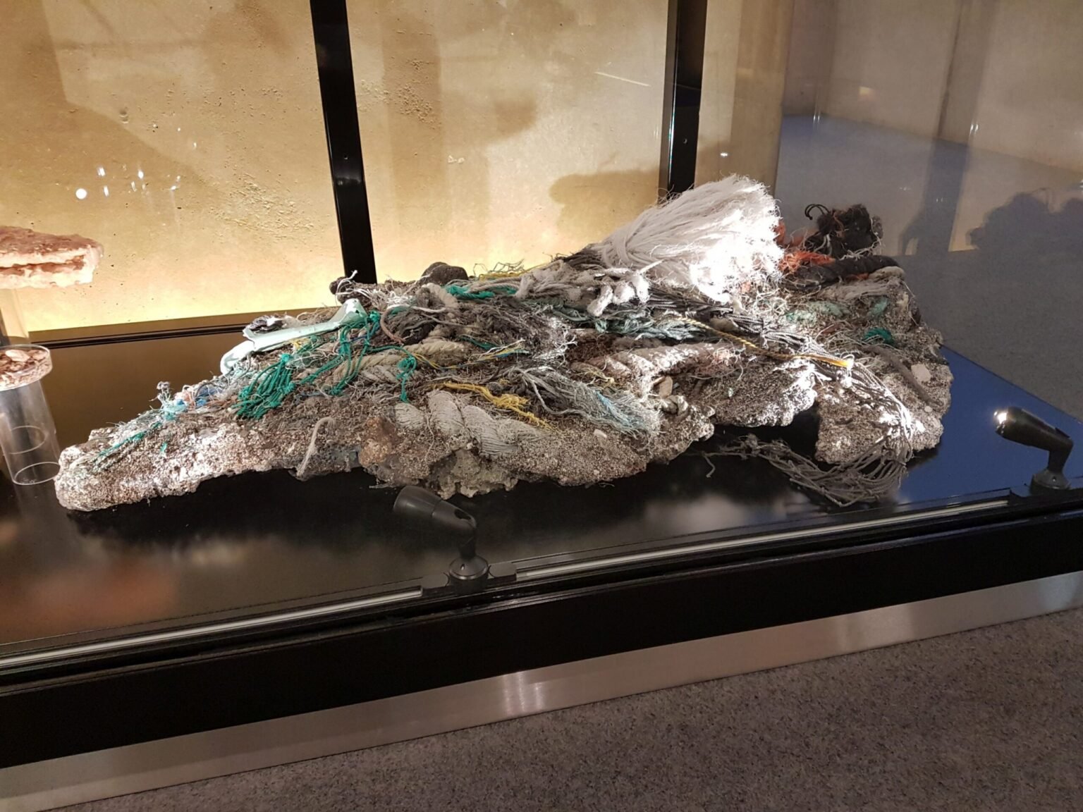 Scientists report plastic rock formation on India’s west coast