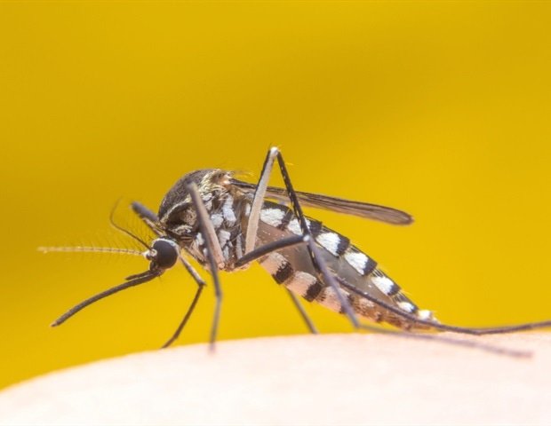 Researchers track genetic changes in Brazil’s rare Sabia virus
