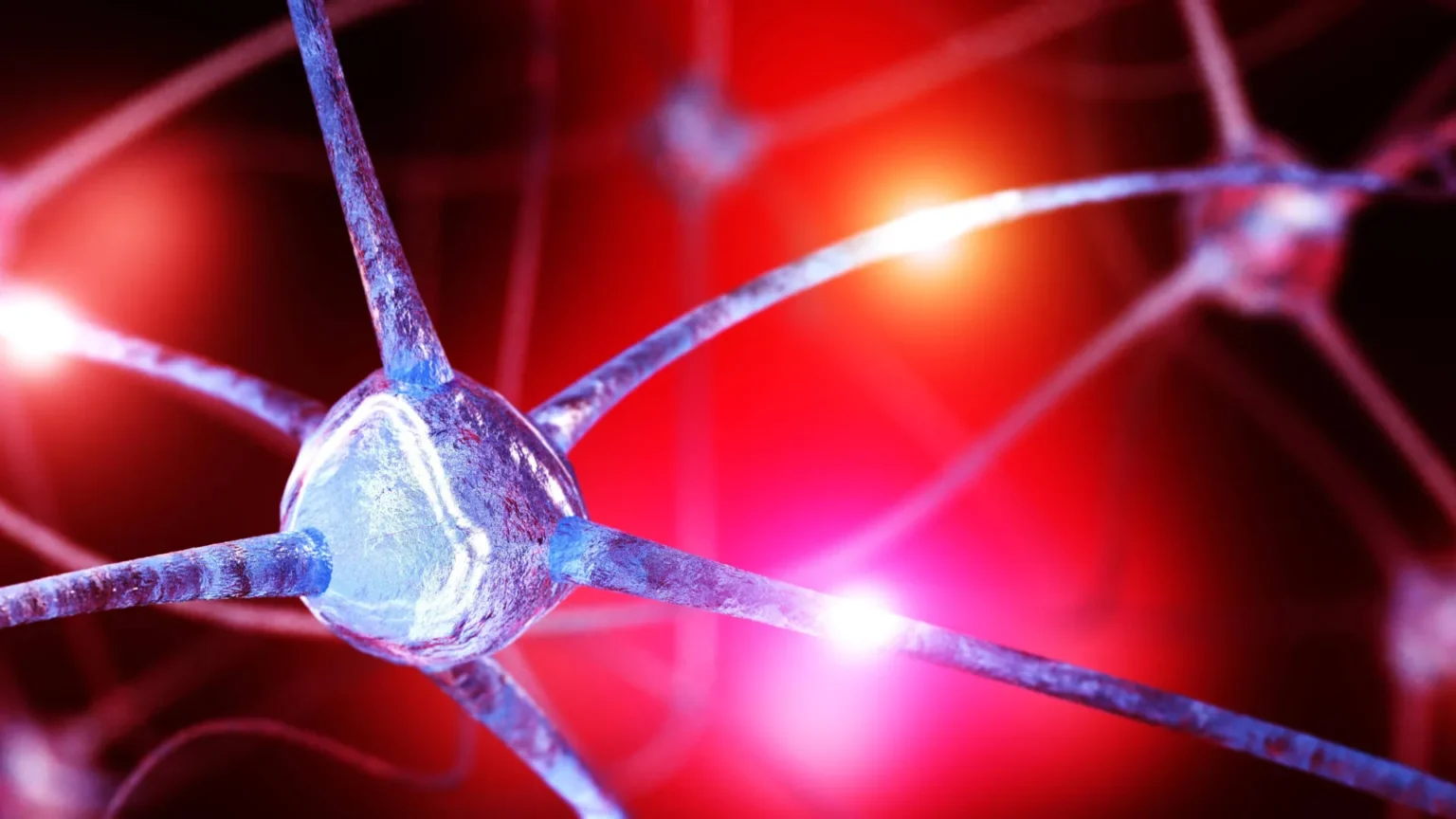 Scientists discover hidden brain nutritional deficiencies that can fuel anxiety Scientists discover hidden brain nutritional deficiencies that can fuel anxiety