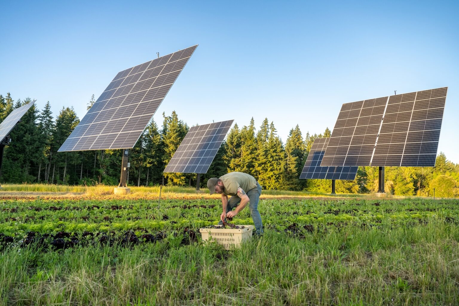New approach to agricultural power generation gives farmers precise control over sunlight and shadows