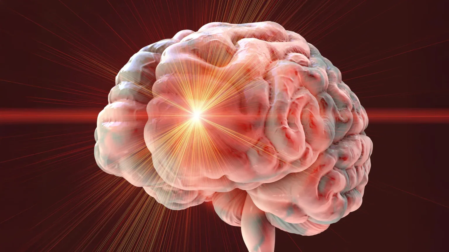 A combination of popular anti-aging drugs caused severe brain damage in mice
