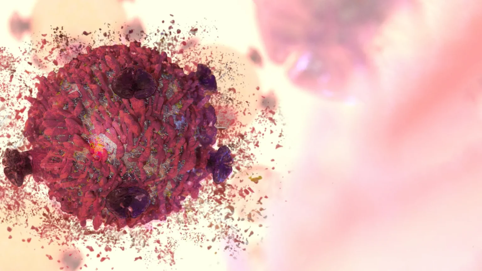 A rare plant compound that fights cancer has been deciphered