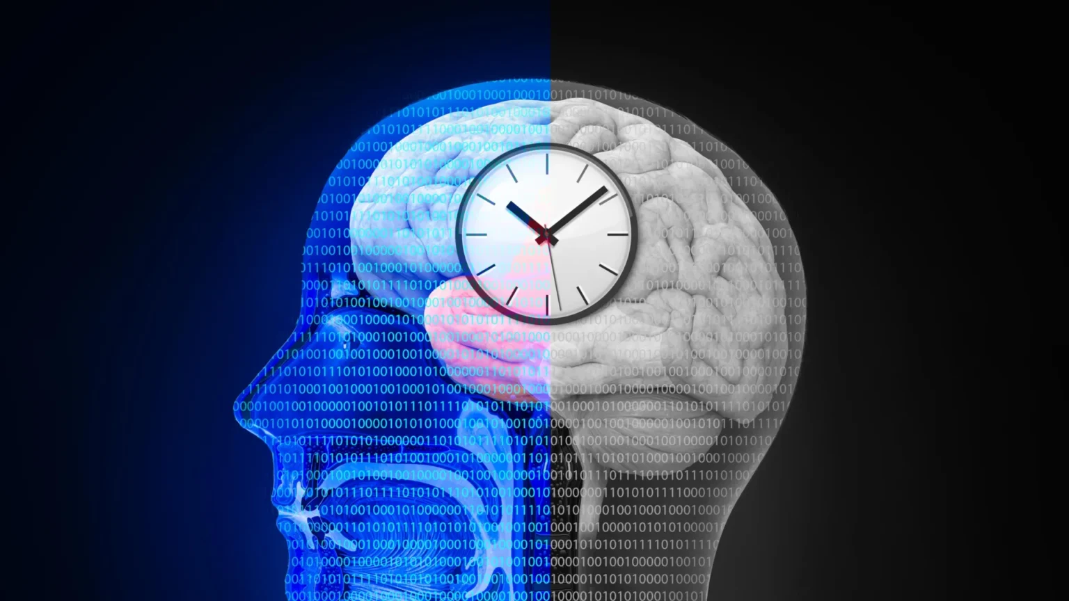 Intermittent fasting causes surprising changes in the brain Intermittent fasting causes surprising changes in the brain