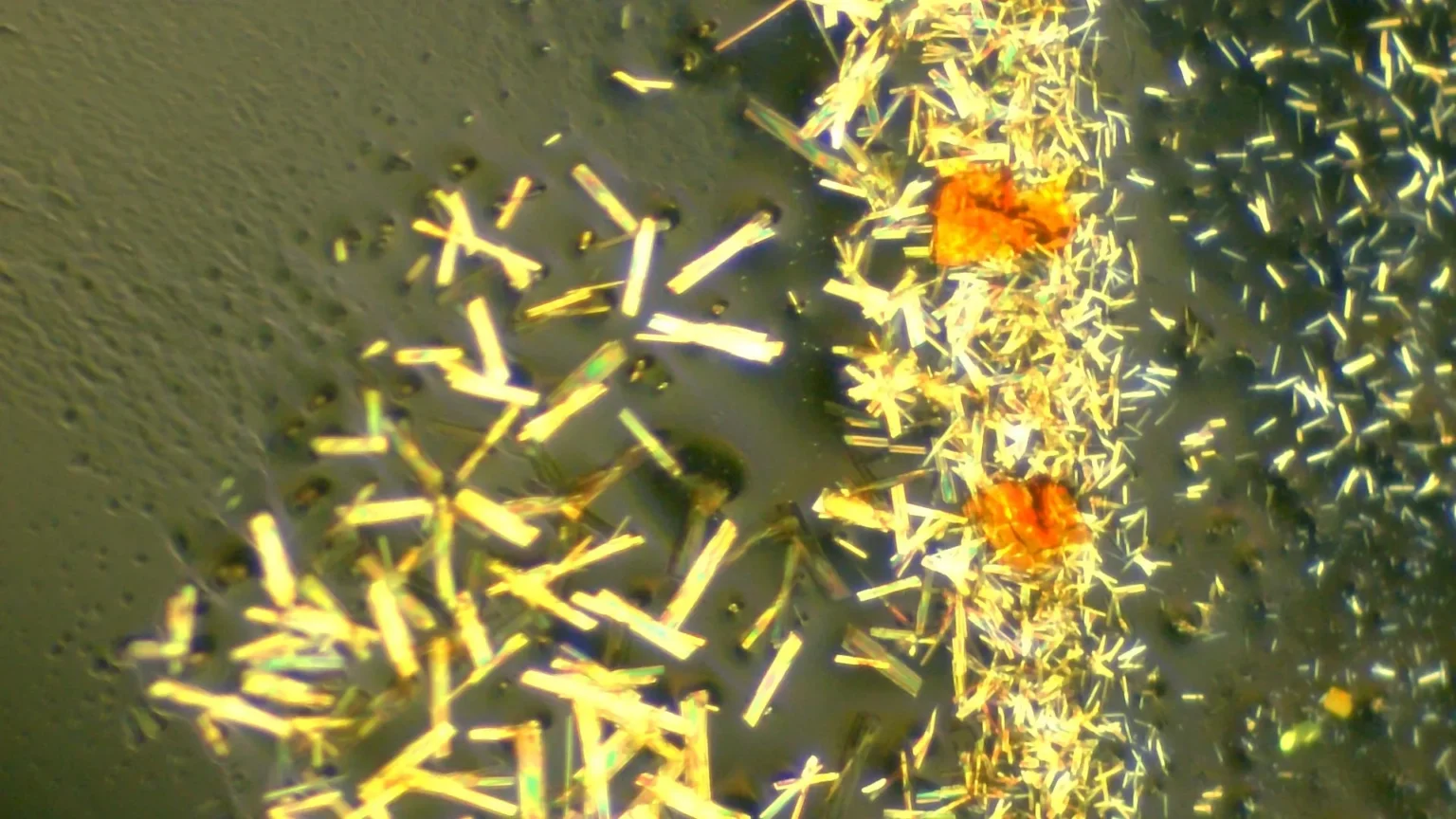 Scientists discover strange state hidden in ‘sandwich’ molecules
