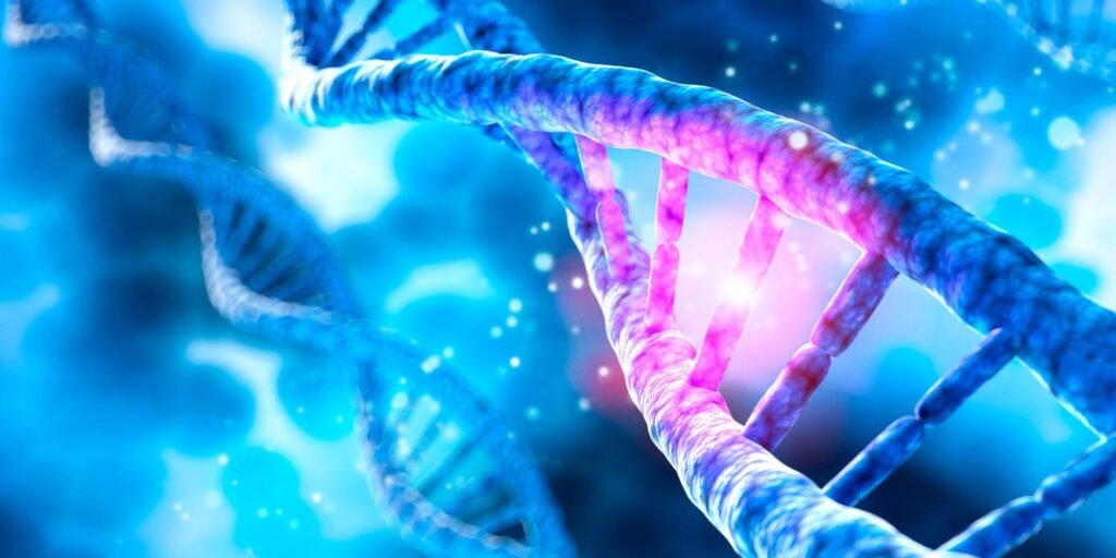 Genetic predisposition to muscle strength is associated with slower cognitive decline