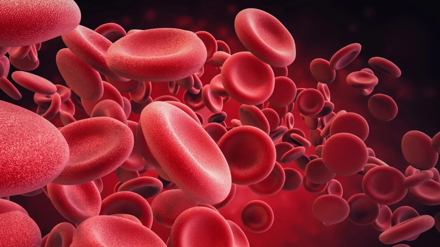 Scientists rejuvenate old blood stem cells in major anti-aging advance