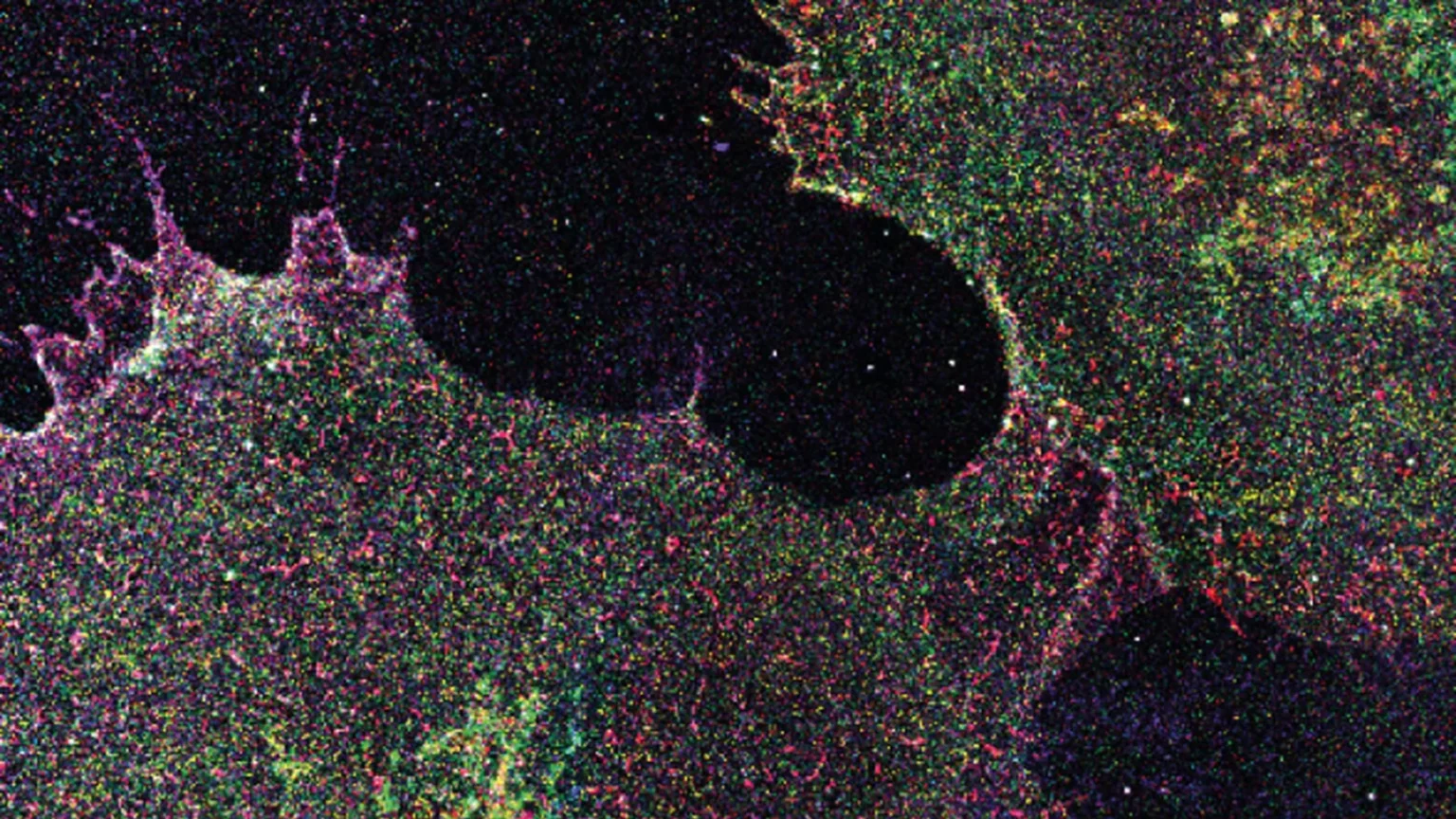 Hidden sugar patterns in human cells may lead to early detection of cancer