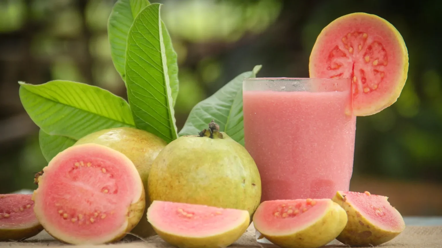 Scientists say guava juice may enhance the effectiveness of iron supplements Scientists say guava juice may enhance the effectiveness of iron supplements