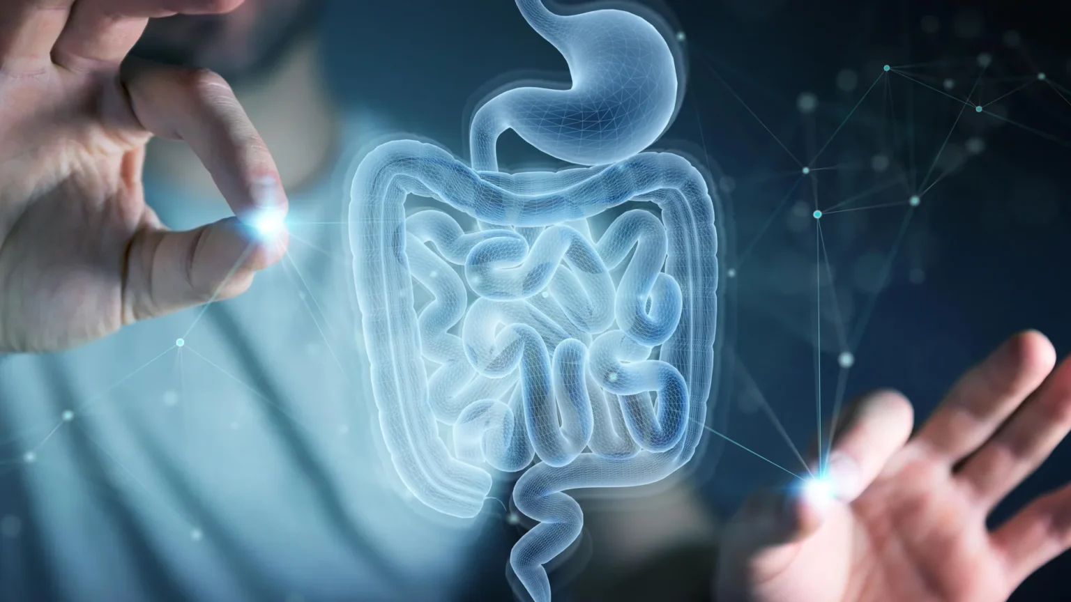 MIT scientists discover amino acids that help the gut heal itself MIT scientists discover amino acids that help the gut heal itself