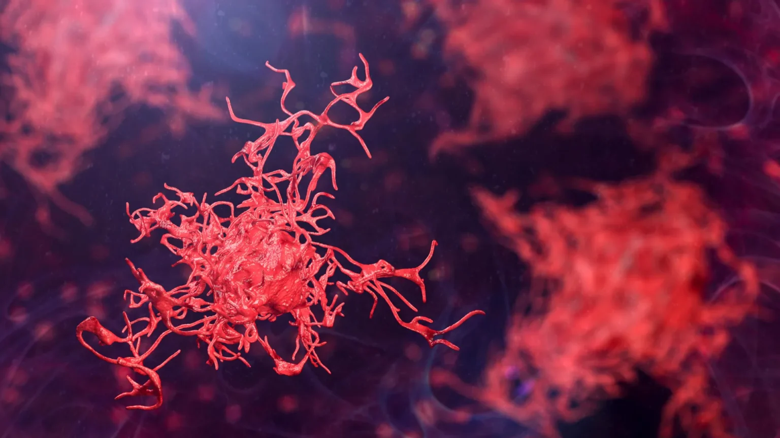 Scientists warn that dangerous amoebas are spreading around the world