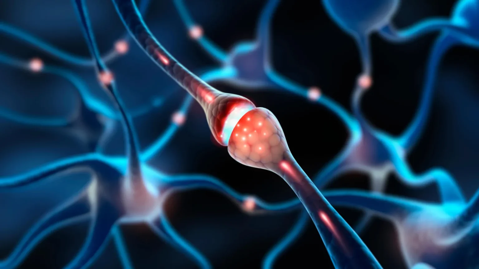 MIT scientists discover millions of ‘silent synapses’ in adult brains