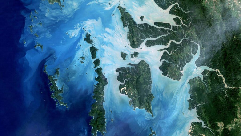 Have we been focusing on the wrong ocean pollutants? This study reveals what we’ve been missing