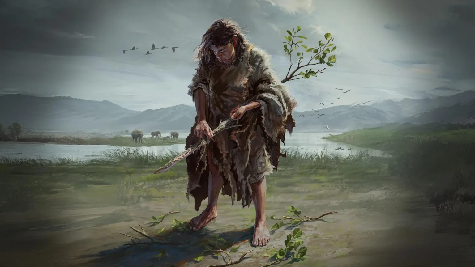 Scientists discover oldest wooden tool used by humans