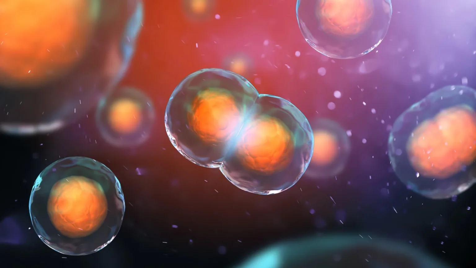 Scientists discover why some DNA-doubling cells don’t die