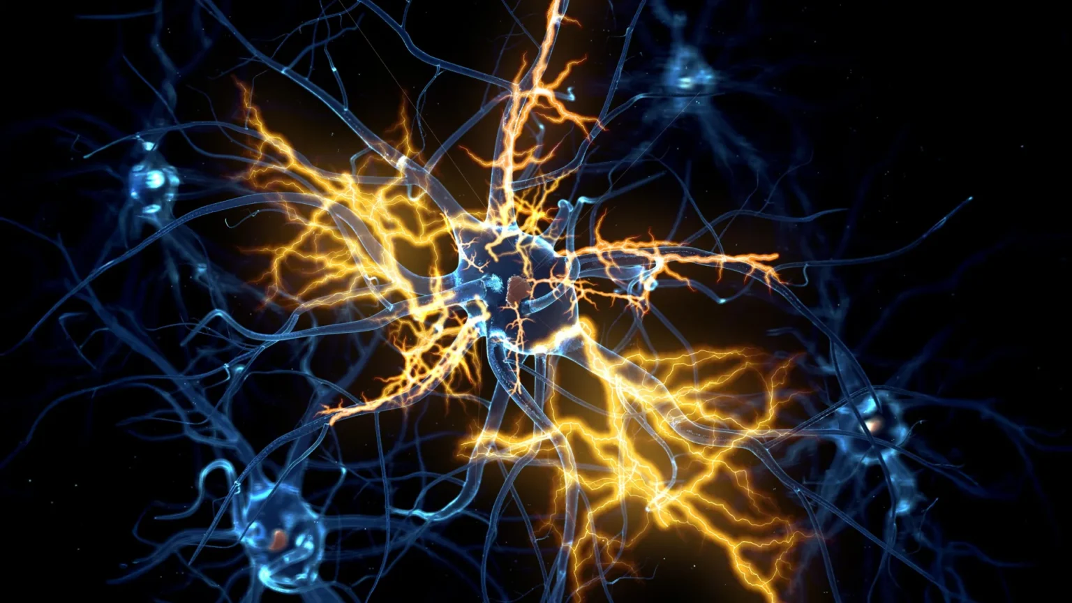 Human organoids reveal how to reverse ‘irreversible’ nerve damage