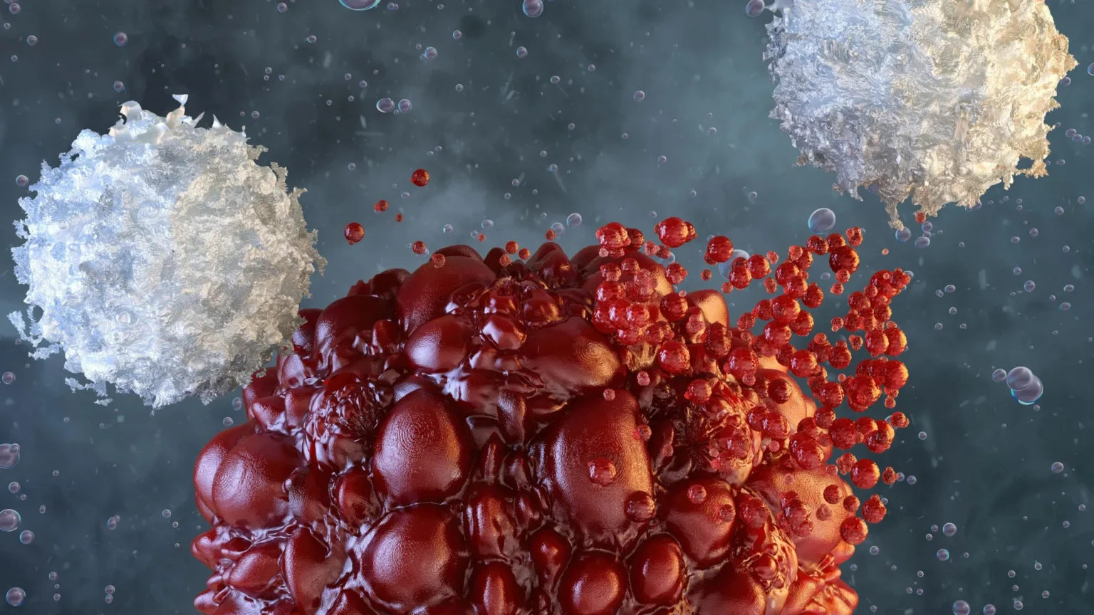Scientists supercharge natural killer cells to fight aggressive cancer Scientists supercharge natural killer cells to fight aggressive cancer