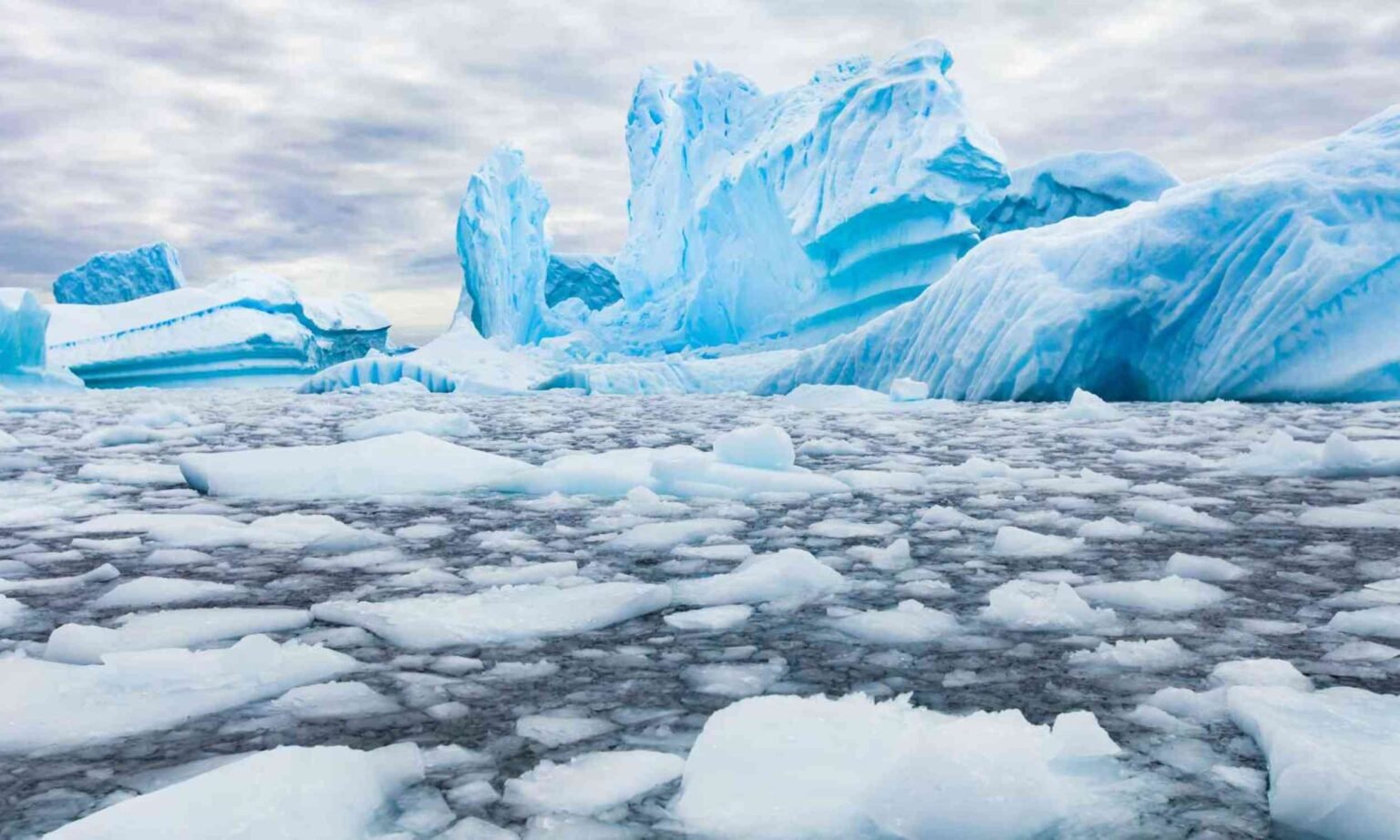 Antarctic plastic waste can spread dangerous bacteria Antarctic plastic waste can spread dangerous bacteria