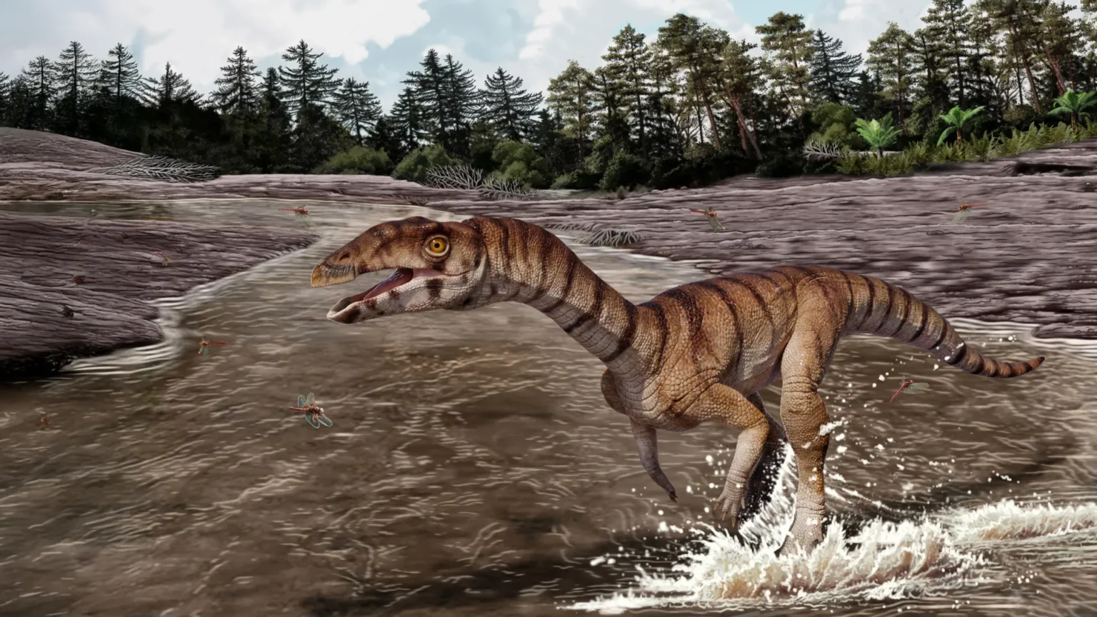 This strange crocodile relative from the Triassic period looked like an ostrich dinosaur