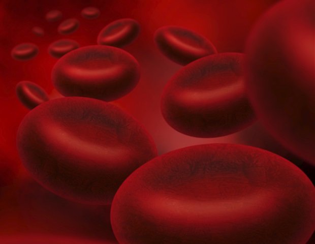 Researchers trace the origins of blood cells back to their single-cell ancestors Researchers trace the origins of blood cells back to their single-cell ancestors