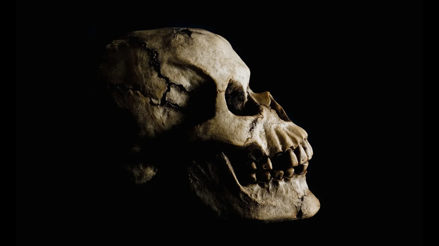 Amazing fossil discovery in Ethiopia rewrites human origins