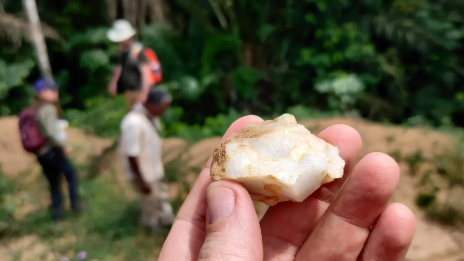 Lost for 150,000 years: discovery of rainforest changes human history forever