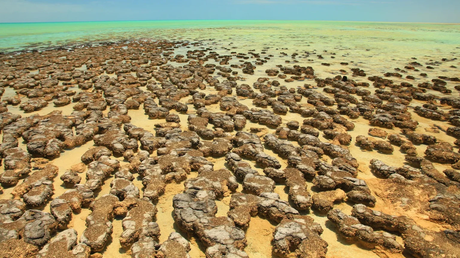 Ancient asteroid crater may have sparked oxygen-producing life on Earth Ancient asteroid crater may have sparked oxygen-producing life on Earth