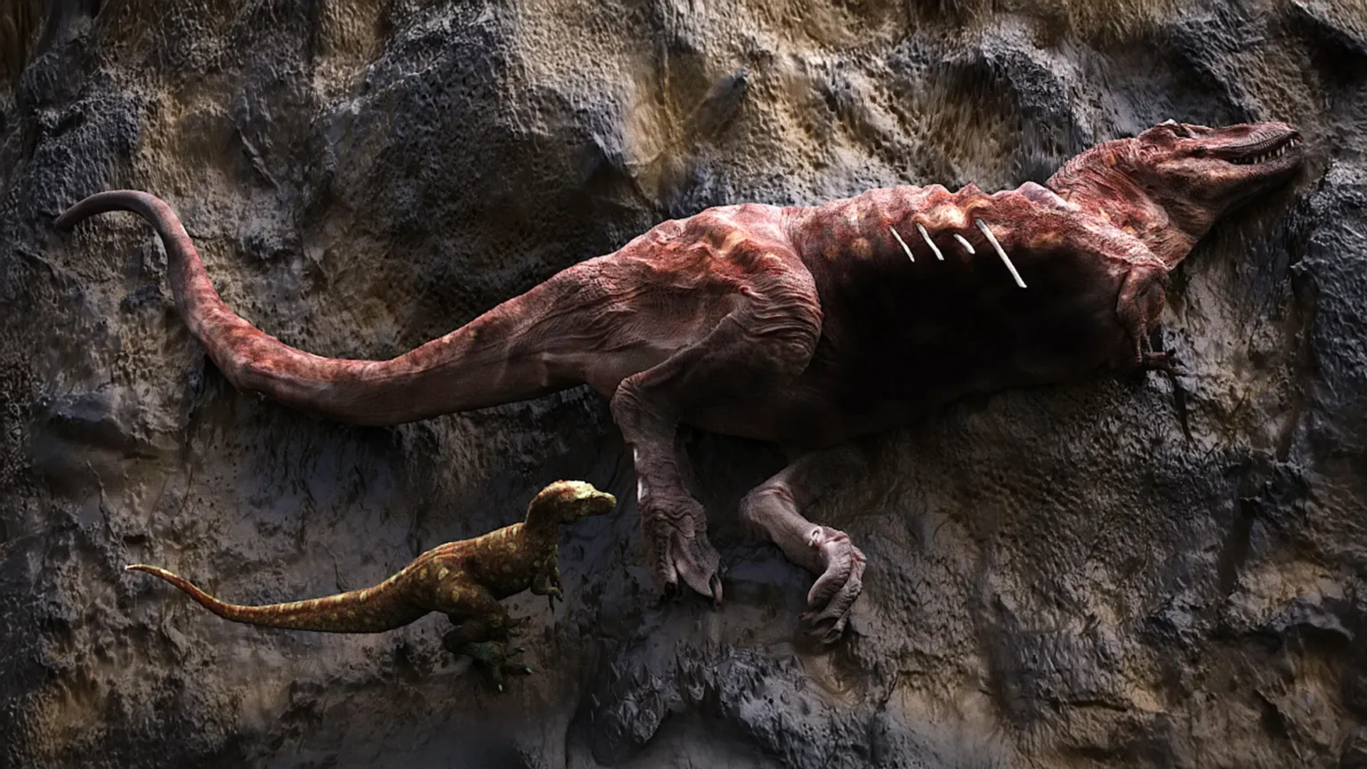 75 million year old fossils reveal shocking secrets of Tyrannosaurus rex