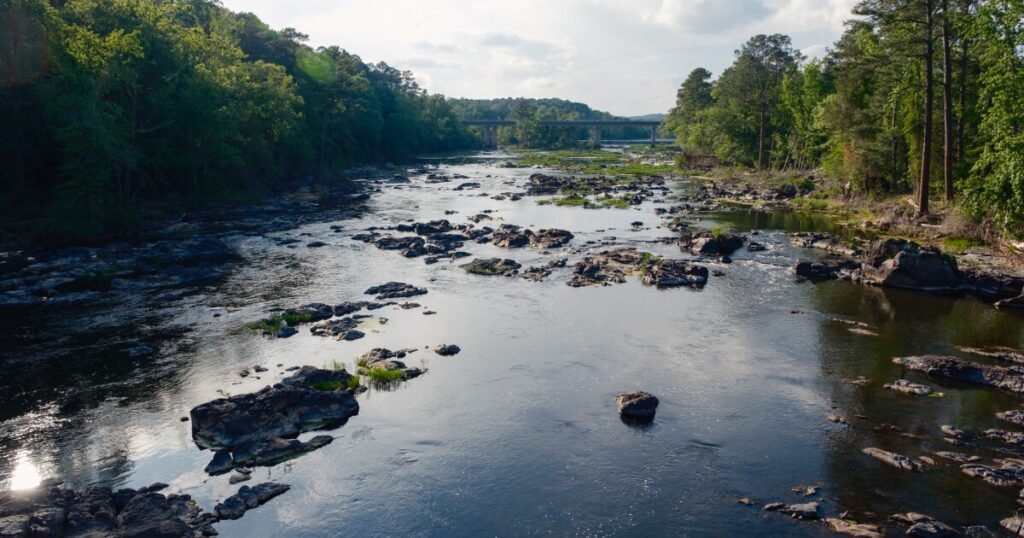 NC regulators have chosen not to set numerical limits for chemical contamination of waterways. why?
