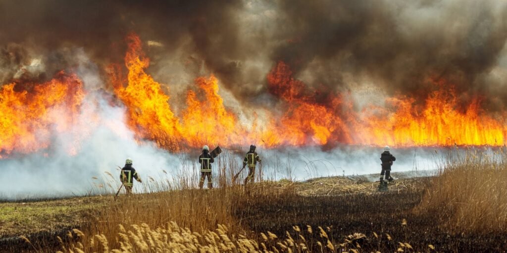 Wildfire smoke linked to increase in pediatric mental health emergencies Wildfire smoke linked to increase in pediatric mental health emergencies