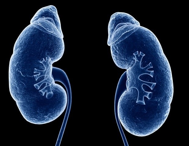 Trial shows safety of TTV-induced immunosuppression in kidney transplant recipients Trial shows safety of TTV-induced immunosuppression in kidney transplant recipients
