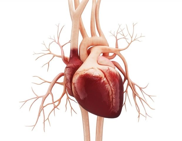 Protein repair defects associated with hidden heart failure Protein repair defects associated with hidden heart failure