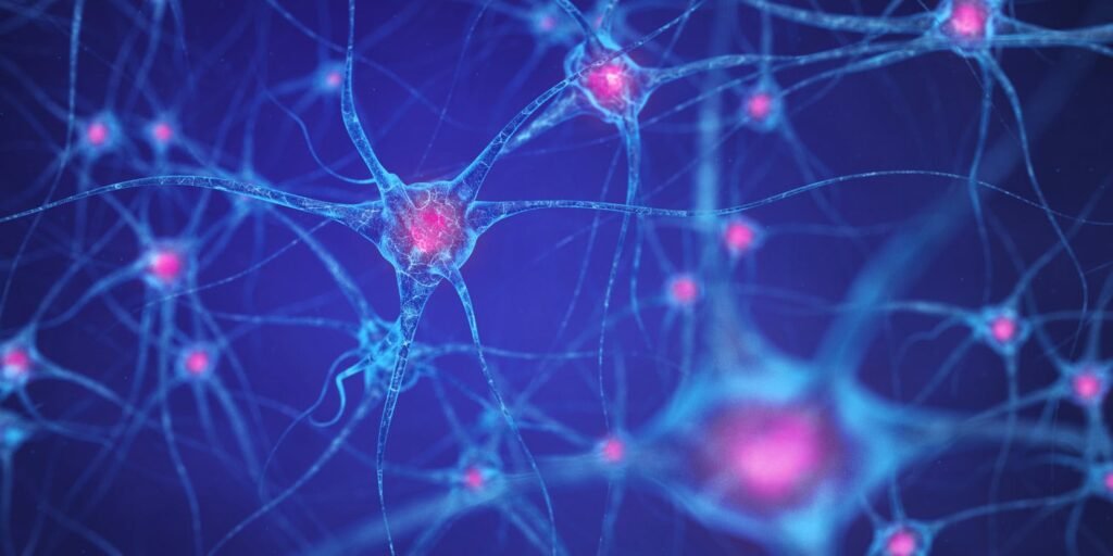 Scientists discover how the muscles you exercise communicate with your brain to fight depression Scientists discover how the muscles you exercise communicate with your brain to fight depression