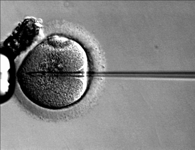 Salt-loaded nanoparticles can help deliver fragile gene therapies to cells Salt-loaded nanoparticles can help deliver fragile gene therapies to cells