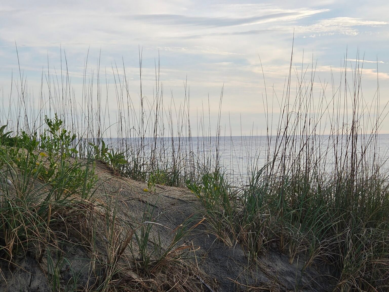 Senators support repeal of North Carolina’s enhanced structures ban, reject purchase of threatened coastal homes • NC Newsline
