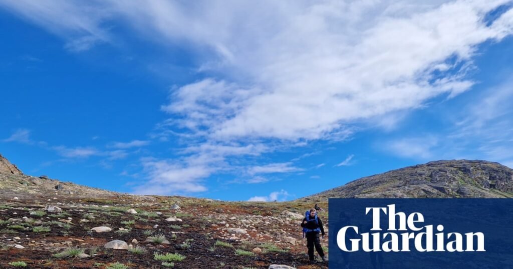 Two wildfires hit Greenland within a week, sending scientists on alert | Wildfires