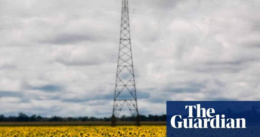 Competition for biofuels due to rising crude oil prices ‘could bring the world closer to a food crisis’