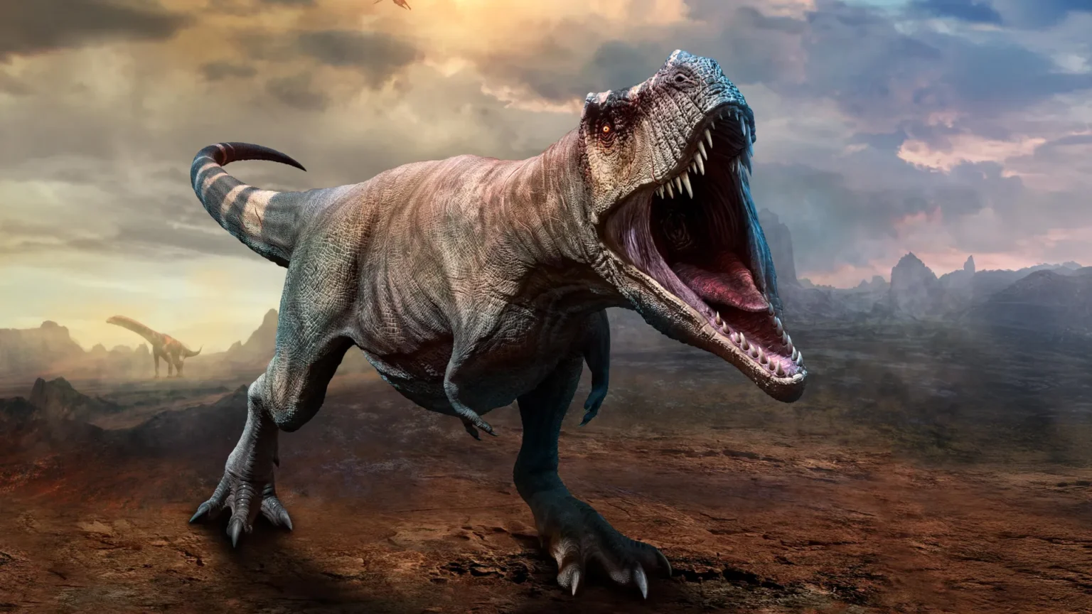 Tyrannosaurus rex took 40 years to reach full size, scientists discover