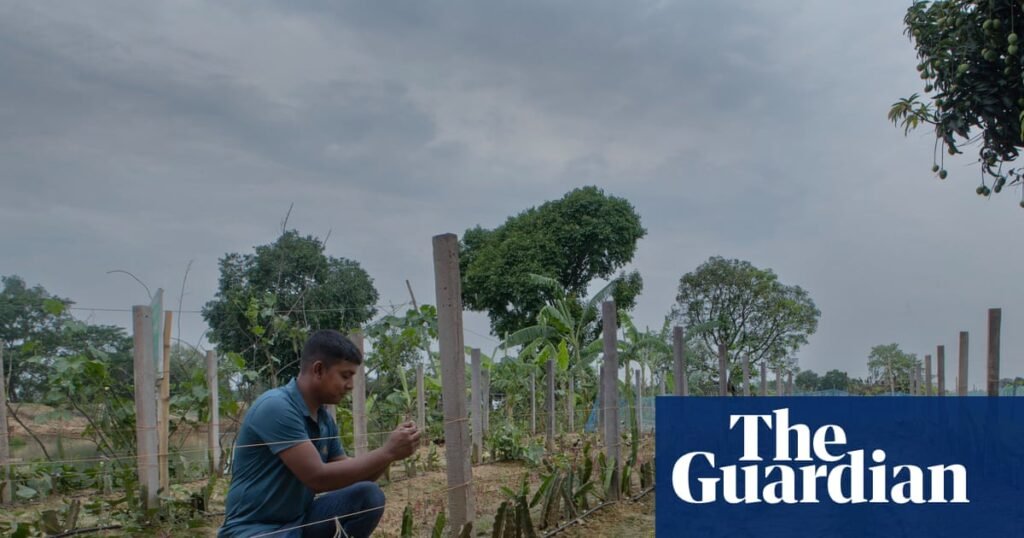 ‘I’m worried that people will go to war over water’: As wells run dry in Bangladesh, farmers struggle to survive | Global Expansion ‘I’m worried that people will go to war over water’: As wells run dry in Bangladesh, farmers struggle to survive | Global Expansion