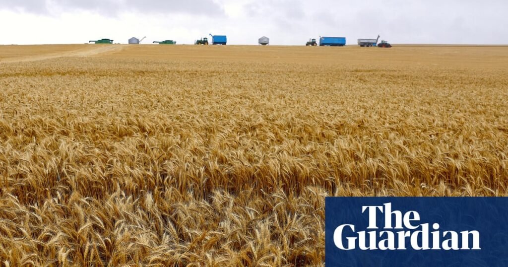 A herbicide banned in 70 countries can now be used in Australia. Are the scales of regulation tilted in favor of large-scale agriculture? |Herbicide