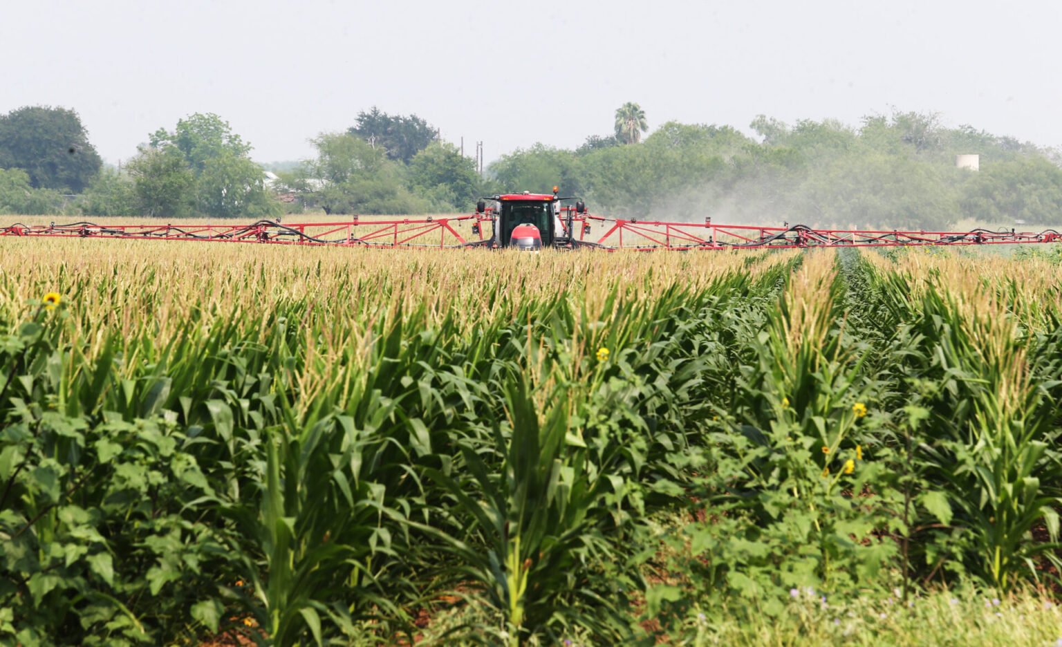 Editorial: Authorities and the agriculture industry need to weigh convenience and public safety risks